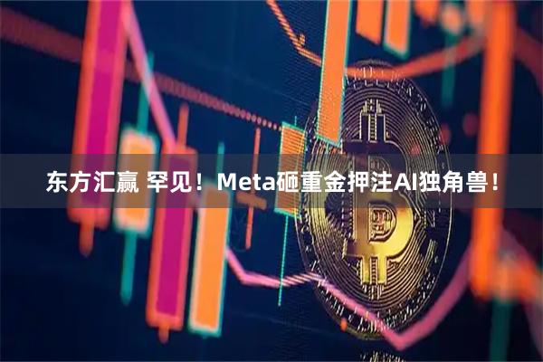 东方汇赢 罕见！Meta砸重金押注AI独角兽！