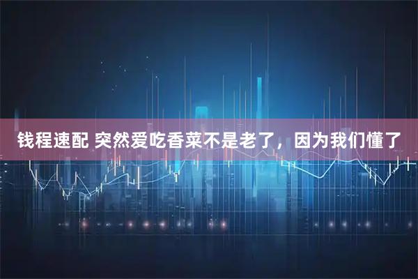钱程速配 突然爱吃香菜不是老了，因为我们懂了